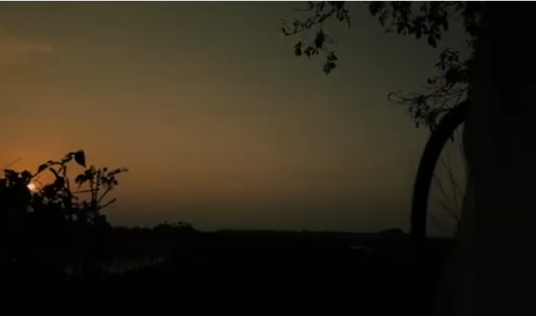 വൈലോപ്പിള്ളി ഒരു കാവ്യജീവിതം